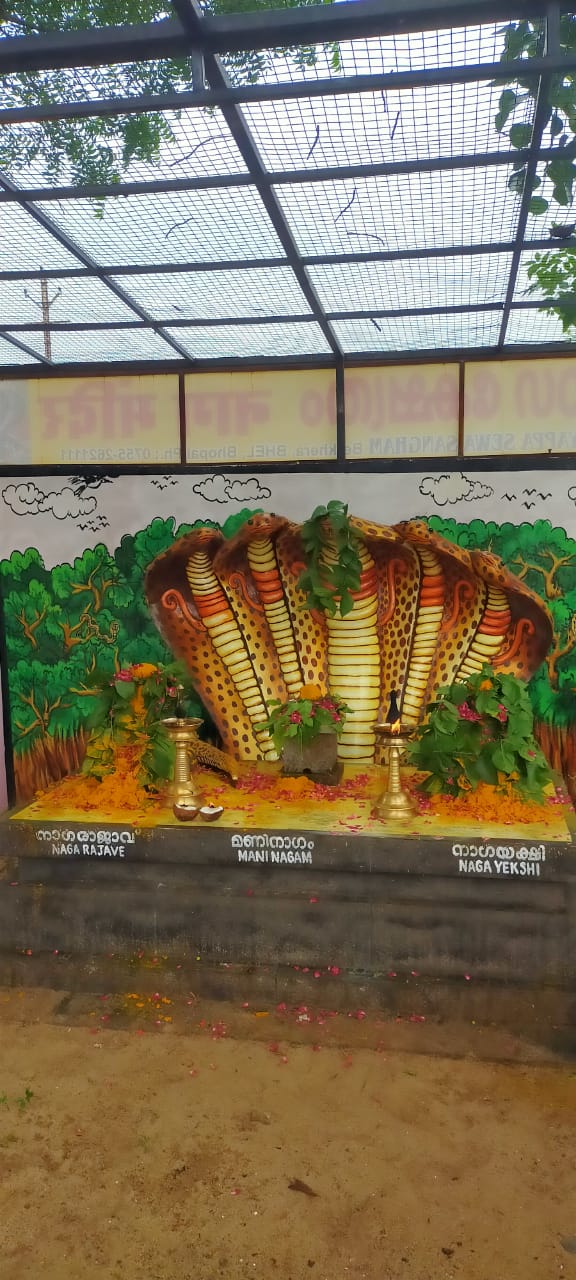  AAYILYA POOJA for the year 2026 (January to December)